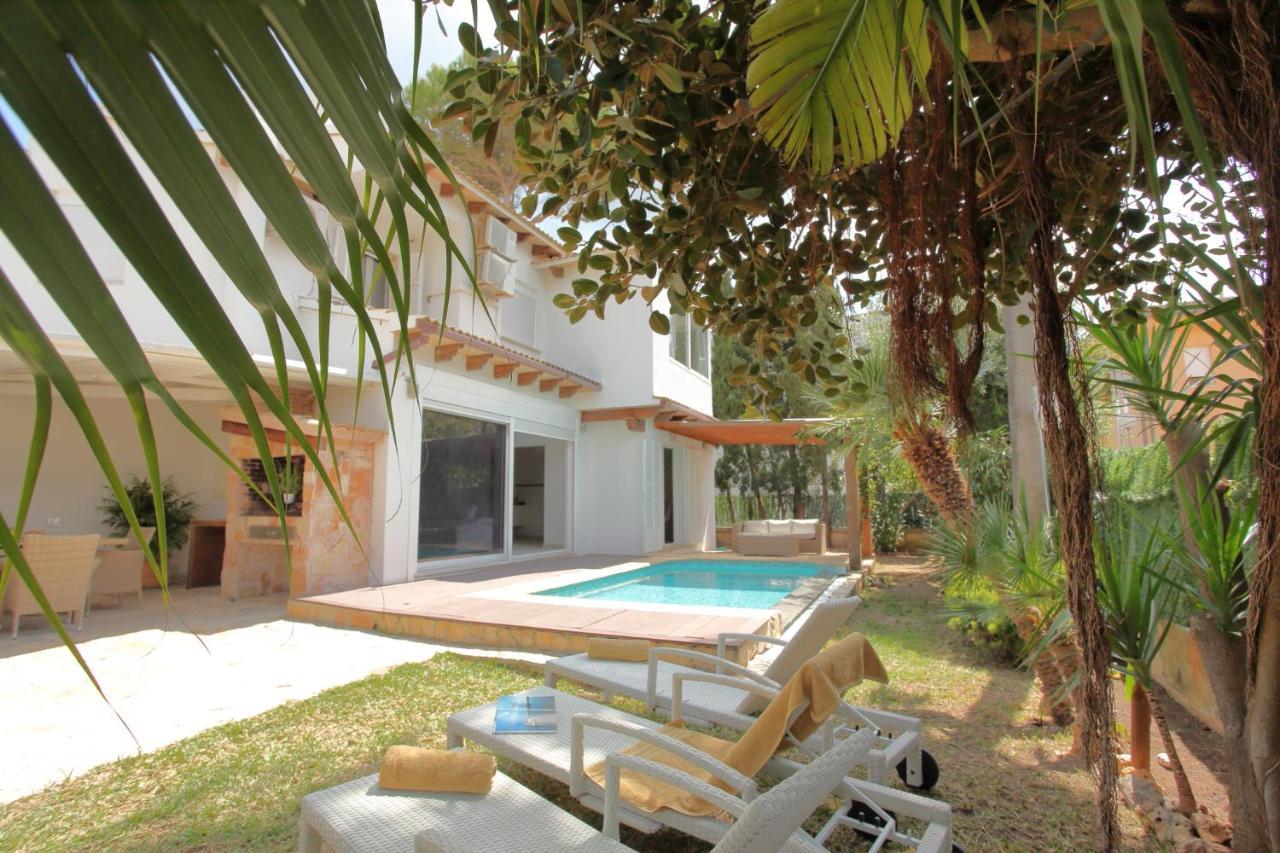 Tropical Garden, With Pool Near The