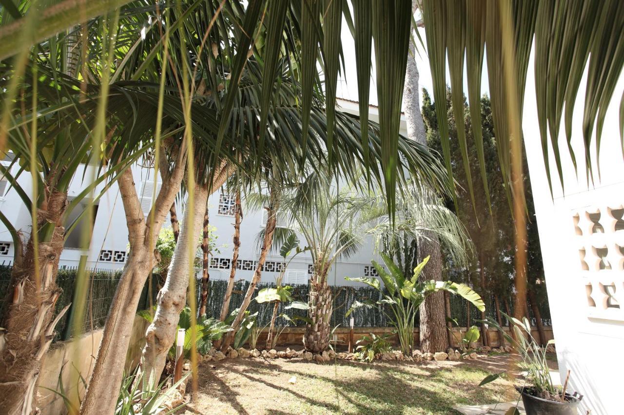 Tropical Garden, With Pool Near The *