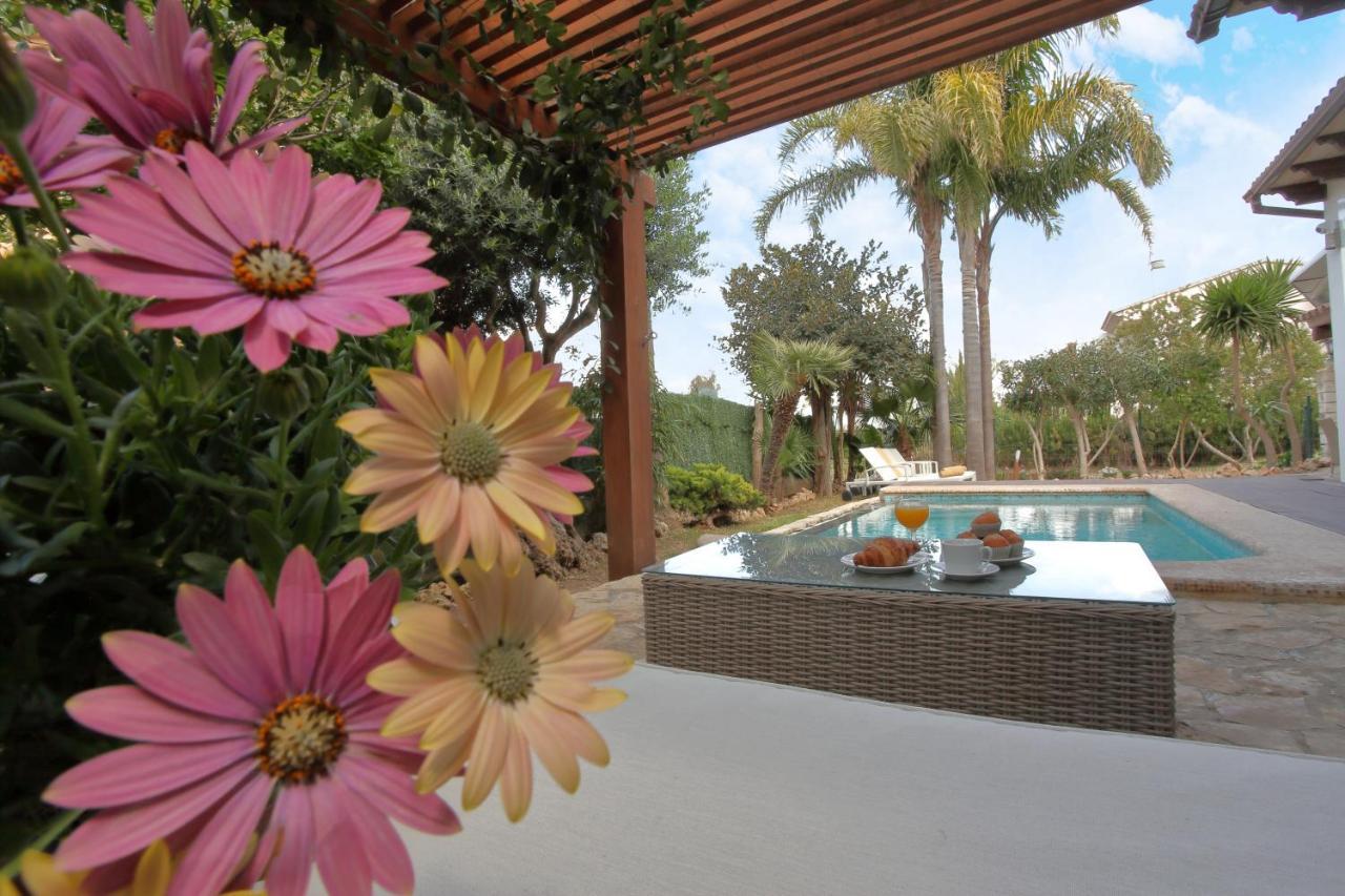 Tropical Garden, With Pool Near The * Alcúdia